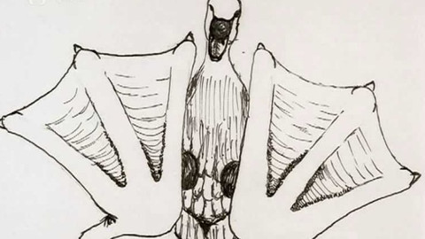 Děti kreslí písničky - Labutě