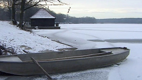 Otec českého kapra