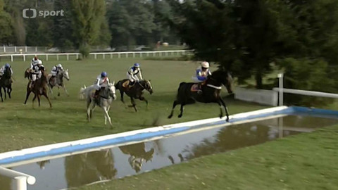 Velká pardubická - historie - 2008