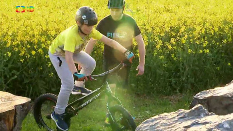 Lvíčata - 10. června 2017