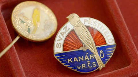 Co naše babičky uměly a na co my jsme zapomněli - Máme doma kanára