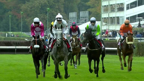 Dostihy - Křišťálový pohár města Pardubic