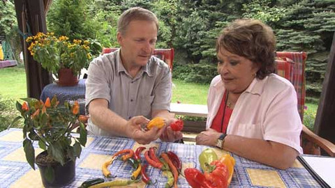 Hobby naší doby - 5. října 2013