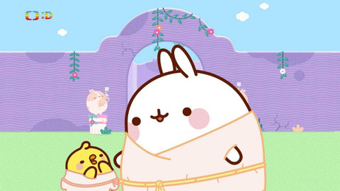 Molang - Motanice