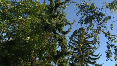 Nedej se! - Pozemky v parku Na Kavčích horách