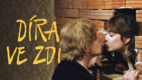 Díra ve zdi