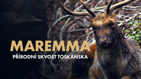 Maremma - přírodní skvost Toskánska