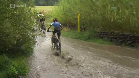 Cyklistika - Author Pražská 50