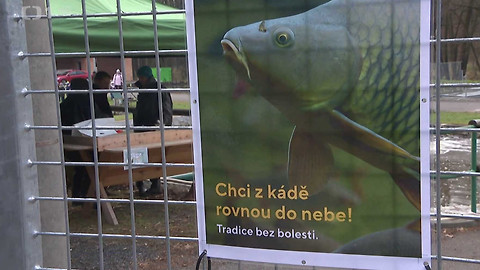 Události v regionech (jih a západ) - 19. prosince 2024
