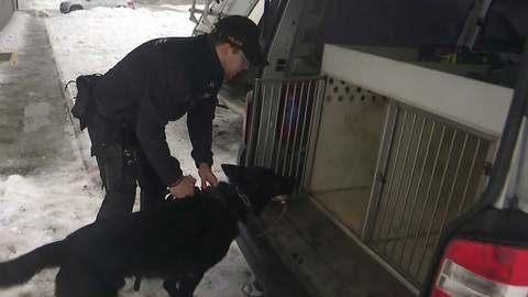 Zóna ČT24 - 17. ledna