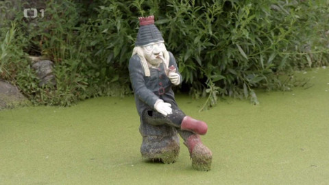 Škoda lásky - Škoda lásky