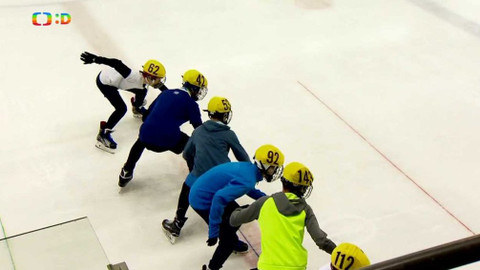 Lvíčata - 17. února 2018