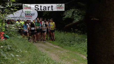 Sport v regionech - Jesenický maraton