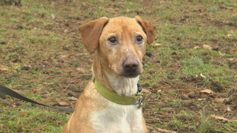 Chcete mě? - Chcete je?