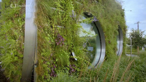 Kapka vody - Zeleň na domech