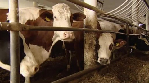 Náš venkov - "Bílé moře Vysočiny"