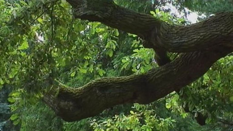 Toulavá kamera - 5. září 2010