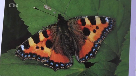 Novinky z přírody - Epizoda 18/53