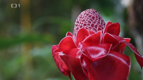 Objektiv - 10. listopadu 2019