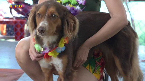 Zprávičky - 28. února 2022