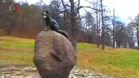 Živé srdce Evropy - Hukvaldy