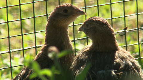 Chcete mě? - 9. října 2016