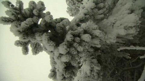 Nedej se! - V Jeseníkách na stráži