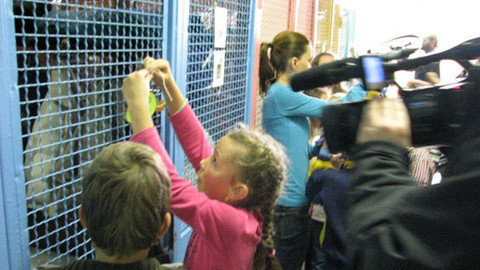 Šikulové - 10. ledna 2013