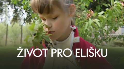 Život pro Elišku