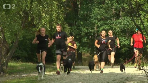 Chcete mě? - 17. září 2017