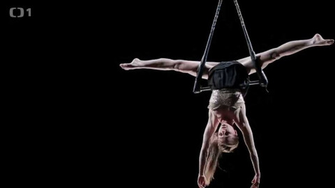 Gejzír - 8. června 2017