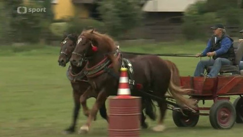 Jezdectví - M ČR v kombinovaných soutěžích chladnokrevných koní