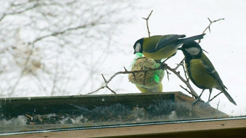 Zprávičky - 22. února 2013