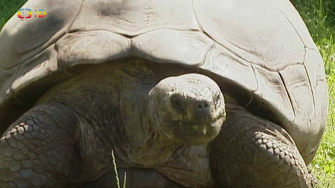 Terčin zvířecí svět - 26. listopadu 2021