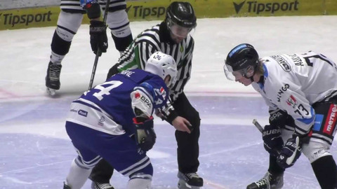 Univerzitní liga ledního hokeje - ZČU Akademici Plzeň - BLACK DOGS BUDWEIS