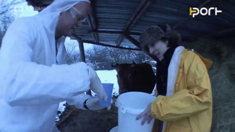 PORT - 24. ledna 2009