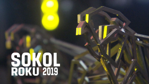Sokol roku 2019