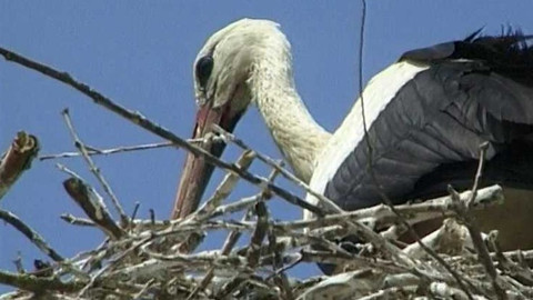 Objektiv - 7. září 2003