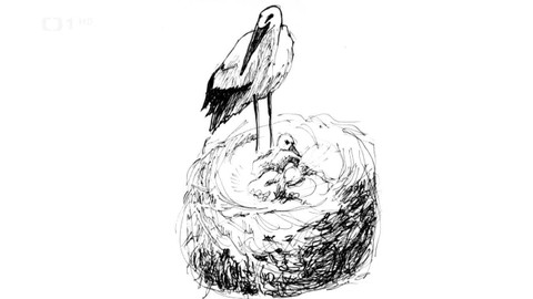 Reportéři ČT - 19. září 2022