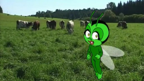 Pátrání světlušky Lucie - 13/40 Jak se zpracovává mléko