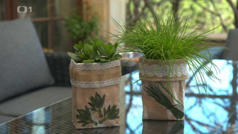 Všechno, co mám ráda - Epizoda 106/45