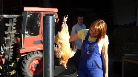 Malá farma - Biofarma startuje