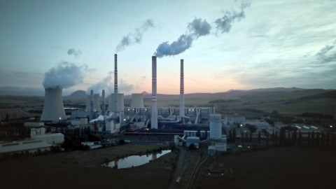 Český žurnál - Češi jsou výborní houbaři