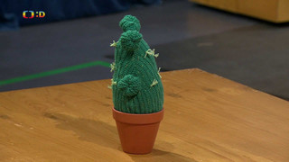 Šikulové - Velká výzva