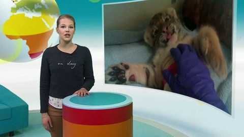 Zprávičky - 9. ledna 2017