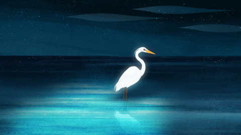 Skála papuchalků - Perfektní peří