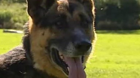 Chcete mě? - Chcete je?