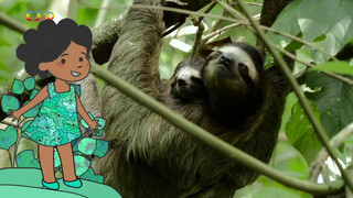 Velká kniha o zvířátkách II