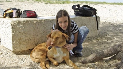 Biblická pátrání - 8/17 David a Goliáš