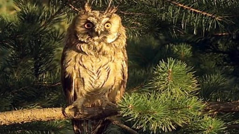 Madla a Ťap - 4/13 Jak se ztratili